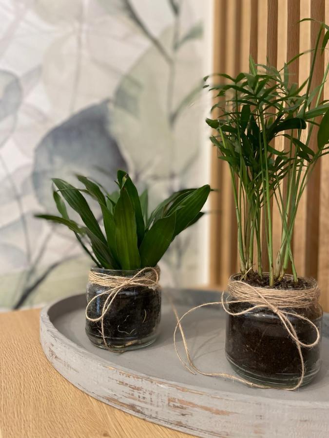 Botanic Nest Panoramic Studio ブカレスト エクステリア 写真